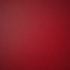 shaeira_seill