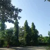yessycordobac