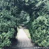 cecylia_04
