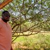 wealthvibesguru