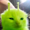 g0od_s0up_