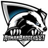 RomanBadger661