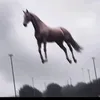 gabrielnune5