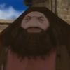 ps1_hagrid_official_