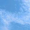 whois_lu016