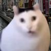 shawna.mp3