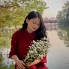phamha1406