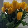 chanelka_83