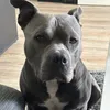 .odin.02
