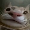 awizardofsomesort