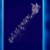 shani.baba.532
