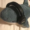 coghuy06