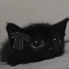 janice_mavenroblox