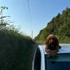 mrshadoww23