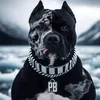 viking stien