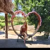 adrianaarodriguesss