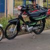 greenexces1