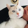 esmeraldaalas91
