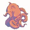 jan_draws
