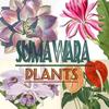 sumawaraplants2