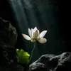vtinguyen..93