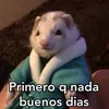 florabaccello6