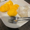 mangostickyrice1994