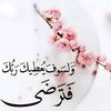 ayaabdalla15