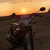 pro100_ganster_1