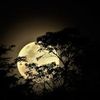 moonlight02903