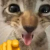 user_1830fabi