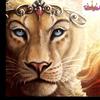 lolita_the_lioness