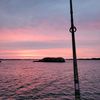 beastcoastfishingri