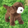 max_essas2512