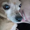 giada_g19