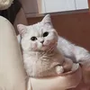 jjjanet.cn