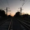recurtido