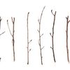 twigsarebetter