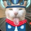 los_gatos_me_comsumen