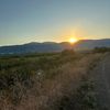 nahal.horse.farm