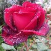 abi_5605
