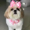 Cindy Shihtzu