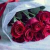 hassansayed152