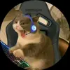 catzn0