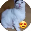 vaniamartins2270