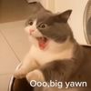 naomissecondcousin