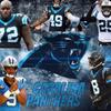 panthersdodgershawks