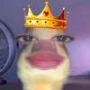 raysheenperez