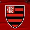 arraxcamilgrau
