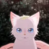 nekonekoun